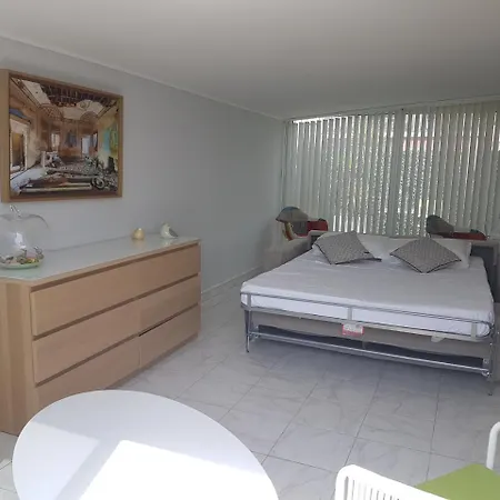 Nice Booking - Villa Sur Le Toit Domaine Des Fleurs * Nice